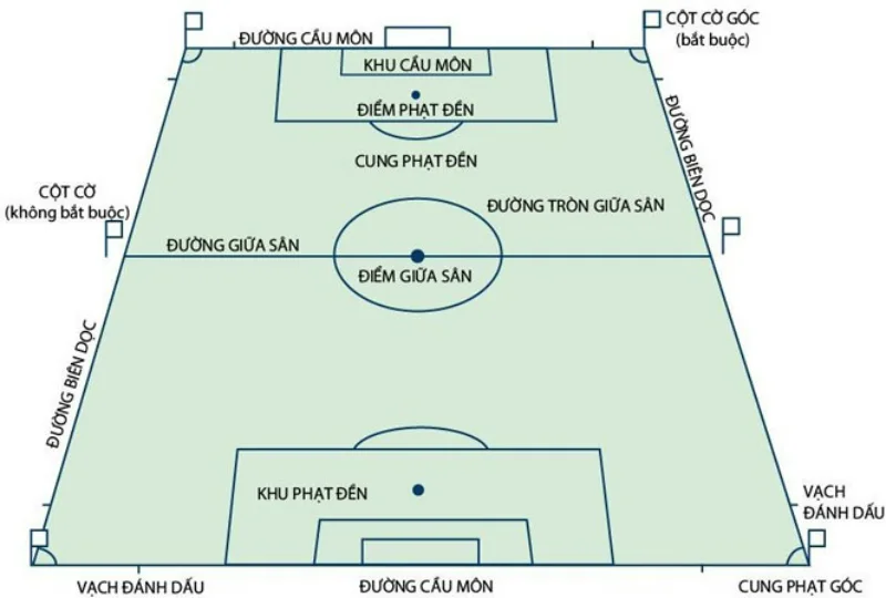 Có rất nhiều thành phần trên sân bóng 11 người