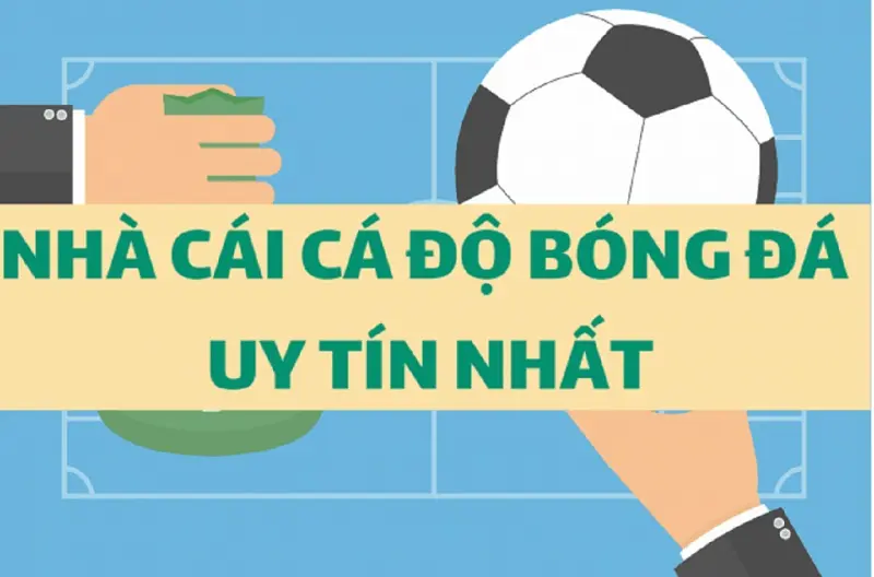 trang bóng nhà cái uy tín